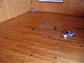 rc drift tamiya tt 01 nissan silvia peio513