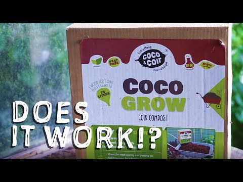 Does Peat Free Compost work? Testing Coco and Coir compost