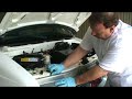 Engine Cleaning & Detailing Engine Cleaning & Detailing