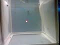 23112008002.mp4