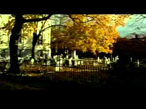 Image de prévisualisation YouTube