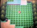 10 Shiny Patches (Poke Radar) - Pokemon D/P
