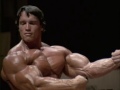 Arnold Schwarzenegger Mr. Olympia 1975 Arnold Schwarzenegger Mr. Olympia 1975