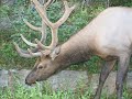 Colorado Fishing & Wildlife Slideshow Colorado Fishing & Wildlife Slideshow