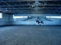 videos de Isaac dressage lesson