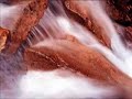 Manzanita - No tem�is