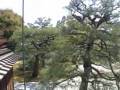 videos de Ninnaji Temple