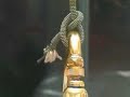 Die Unmöglichkeiten des Ludwig Schuch Die Unmöglichkeiten des Ludwig Schuch
