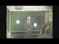 chimps vs humans photographic memory test