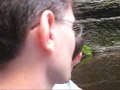 Dovolen� v Teplicko-adr?pa?sk�ch skal�ch