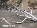 Nudist beach in Japan 2.flv
