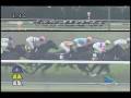 videos de [レースリプレイ] 081115 5京都3 11R アンドロメダステークス