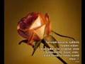 Abdurrahman �N�L H Z MUHAMMED s a v  D�G�N� VAR CENNETTE