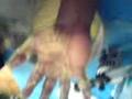 videos de preparando keke