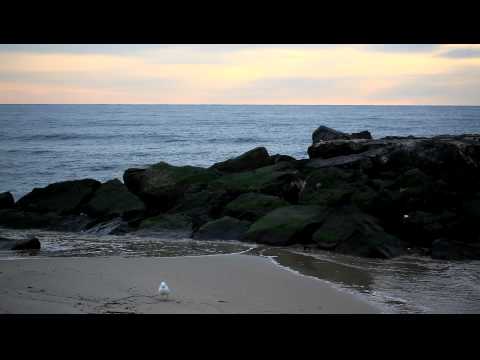 0 HD video Belmar Beach nj 