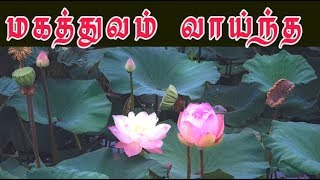Lotus medicinal /  தாமரையின் ம