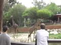 zoo(m) (mike HJ chang!)