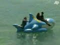 shark tale interview