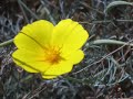 Channel Islands- Video 2