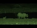 Etosha waterhole in the night (Namibian anthem)