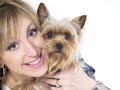 Dog Training Has  Never Been  Easier Or More Fun.