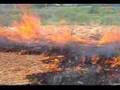 2006秋山郷 焼畑(6) 2回目〜終わり
