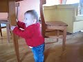 Osgar using the kitchen table and chairs to get around