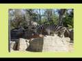 IRAN: EFSHA, Mulla ZOO