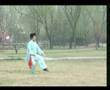 Taiji - broad sword