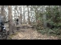 ezride0311 - 