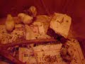 My rat Cream