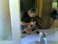 BABAYLA KAVGA BABAYLA KAVGA