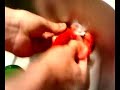 Die Killertomaten greiffen an!!! Die Killertomaten greiffen an!!!