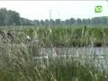 Dijken West-Brabant veilig