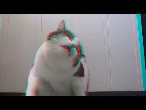 Cat inside screen 3D anaglyph - YouTube