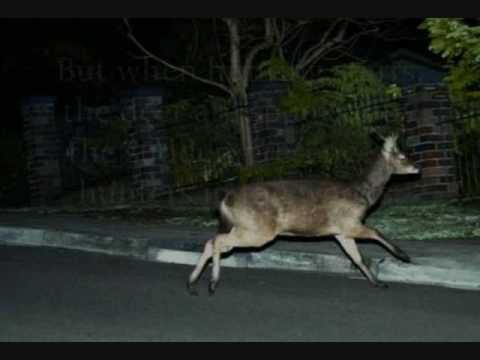 how to register a vehicle in nc from out of state