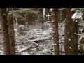 Deer Hunting In Alaska Day 2