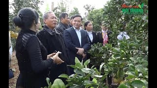 Nông dân Bắc Ninh học tập mô hình cây ăn quả tại Bắc Giang