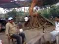 videos de Tamaliza en Agua Linda