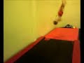 cat-doing-standing-backhandspring-double.html