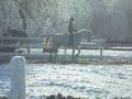 Jefe, trot continued