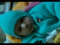 Neenu 1.3gp