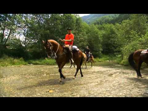 Activ & Spa Resort Schwarzenstein - Lutago - Valli di Tures e Aurina