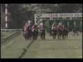 SHAPANDAZ - Gran Clasico Coronacion Gr. II