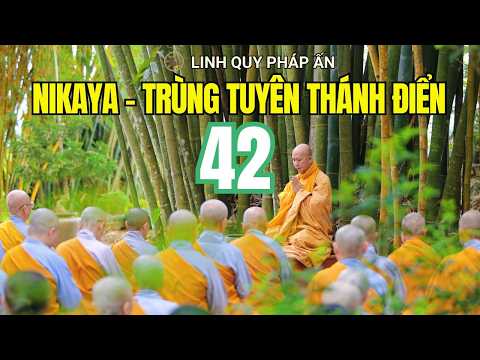NIKAYA - Trùng Tuyên Thánh Điển 42 ( 10.4.2026 )