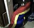 videos de Blobz 7