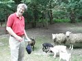 greg with animals