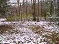 Orion sleding in the snow/slsuh/mud in our backyard Dec. 5th 2009 Knoxville TN