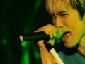 Siam-Shade-Jumping-J