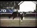 Gifted Dressage at Devon 1991
